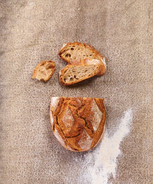 Le blés anciens