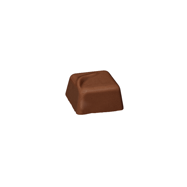 Bonbon praliné - Pécan Chocolat au lait bio - vrac 1 kg